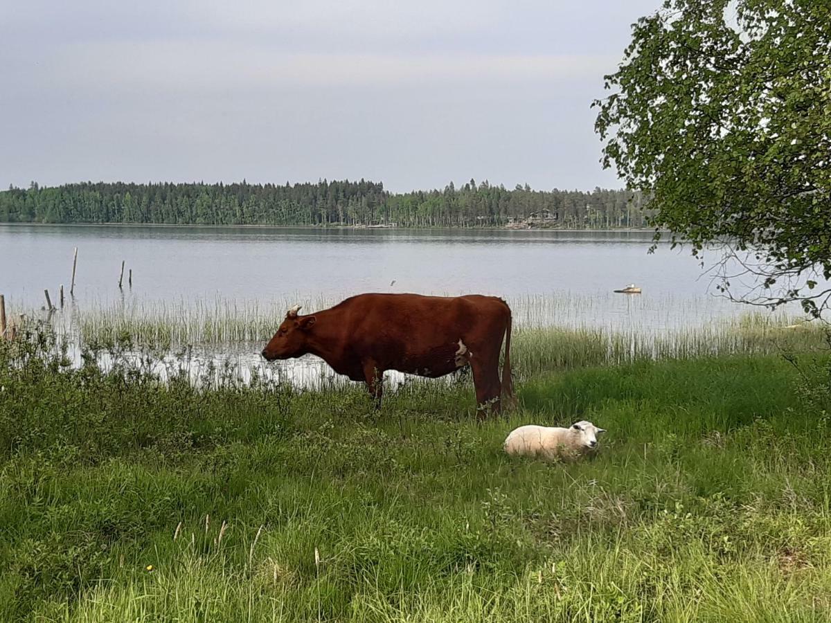 Willa Hyvoelaen Moekit Ähtäri Zewnętrze zdjęcie